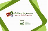 Manejo de cultivo de verano: poroto Manejo, …eeaoc.org.ar/upload/contenido/pdf/201211200018500000… ·  · 2012-11-20extensivo de gran importancia económica regional, cuyo destino