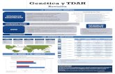 Genética y TDAH - unav.edu · Genética y TDAH Revisión LOS SISTEMAS IMPLICADOS LOS GENES Y EL AMBIENTE 0 10 20 30 40 50 60 70 Alelo 10-rep Alelo normal Alelo 10-rep Alelo normal