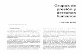 Grupos de presión y derechos humanos - UAM Azcapotzalco · por los grupos de presión en los países del tercer mundo, y ... de los grupos poderosos, mediante el poder económico