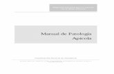 Manual de Patología Apícola - sagarpa.gob.mx apcolas...Manual de Patología Apícola - 3 - Las esporas germinan un día después de su ingestión, y la forma vegetativa de la bacteria