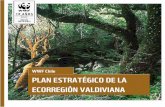 PLAN ESTRATÉGICO DE LA ECORREGIÓN VALDIVIANAawsassets.panda.org/downloads/eap_terrestre___wwf_chile_2011.pdf · Laurifolios, los Bosques Nativos de Coníferas y el Huemul configuran