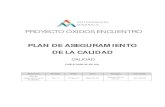 PLAN DE ASEGURAMIENTO DE LA CALIDADdab.aminerals.cl/archivos/13. Control de Calidad/PLAN DE... · Norma ISO 10005-2005 “Directrices para los Planes de Calidad” Norma ISO 10006