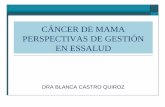 CÁNCER DE MAMA PERSPECTIVAS DE GESTIÓN EN … · pronóstico y la supervivencia de los casos de cáncer de mama y sigue ... El cáncer de mama, ... Manual Operativo para el uso