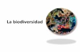 La biodiversidad - Bioyciencias patrones en cuanto a la distribución de la biodiversidad: ¿DÓNDE ESTÁ LA BIODIVERSIDAD ? Patrones de Biodiversidad