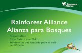 Rainforest Alliance Alianza para Bosques - expocafeperu.com€¦ · NORMA RAS para la Agricultura Sostenible 12 1 Sistema de Gestion Social y Ambiental 2 Conservación de los Ecosistemas