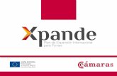 Xpande - Cámara de Comercio de Sevilla · Concentración vs Diversificación ... Cámara de Comercio de Sevilla XPANDE - PROGRAMA DE APOYO A LA EXPANSIÓN INTERNACIONAL DE PYMES