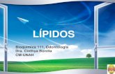 LÍPIDOS - alumnosmedicinaunahvs · Actúan como agentes emulsionantes de los lípidos que llegan al intestino (facilitan la absorción) 37 Esteroides: Hormonas Estrógenos: Hh ...