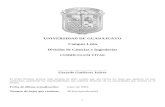 CURRICULUM VITAE - División de Ciencias e Ingenieríasggutj/Curriculum_Vitae/CV_2016_04.docx · Web viewOrganizado por la Universidad de Guanajuato. Cuevas, Gto. Mex. 15-16 de agosto