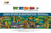 PRIMER RESUMEN DE INFORMACIÓN DEL ABORDAJE Y RESPETO DE ...redd.unfccc.int/files/ecuador_first_sis_summary.pdf · del Ambiente de Ecuador se definió ... degradación forestal, a