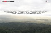 REDUCCIÓN DE LA DEFORESTACIÓN … · incrementar productividad y la generación de riqueza, ... suelos de capacidad de uso mayor forestal o de ... a los Principios de Ecuador9 y