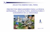 AGUAYTIA ENERGY DEL PERU PROYECTOS ... en Iquitos y Pucallpa, reemplazándolo los sistemas tradicionales e ineficientes de conservación de la pescado (hielo y cáscara de arroz).