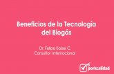 Beneficios de la Tecnología del Biogás€¦ ·  · 2017-07-31Dr. Felipe Kaiser C. Consultor Internacional Conceptos de Biogás Beneficios de la Tecnología Emisiones Energía limpia