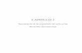 CAPITULO 2 - catarina.udlap.mxcatarina.udlap.mx/u_dl_a/tales/documentos/lic/prado_m_jj/capitulo2.pdfEs un medio muy efectivo para exploración y muestreo de suelos y ... A cada calicata