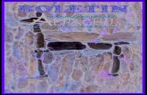 BOLETIN ALPACHU VOLUMEN 1 - camelidostacna.comcamelidostacna.com/wp-content/uploads/2016/10/... · Centro de investigación en Camelidos Sudamericanos Bol. Cient CS - Tacna Presentación