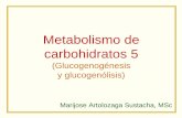 Metabolismo de carbohidratos 5 - bioquiucimed · Metabolismo de carbohidratos 5 (Glucogenogénesis y glucogenólisis) Marijose Artolozaga Sustacha, MSc . METABOLISMO DEL GLUCÓGENO