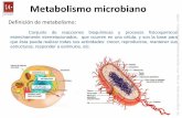 Metabolismo microbiano · Definición de metabolismo: . ... Oxidación incompleta de la glucosa por glucólisis Etapa I: ... Fuentes de carbohidratos