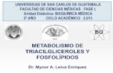 UNIVERSIDAD DE SAN CARLOS DE GUATEMALA …juventud-medica.weebly.com/uploads/2/1/2/2/21229712/metabolismo_de...excedente de carbohidratos que son llevados a la ... proviene de la glucólisis: