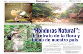 Portada de esta agenda semanal. La cabecera del río ... · cación “Honduras Natural”, producida por Robert Gallardo, un investigador y conocedor de la biodiversidad hondure-ña.