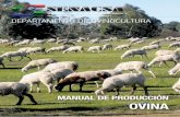 DIRECCIÓN GENERAL DE CALIDAD ANIMAL (DIGECAL) …mag.gov.py/dgp/Publicaciones recomendadas sector agrario/Manual... · · DIGECAL · DEPARTAMENTO GANADO OVINO ... este sencillo manual