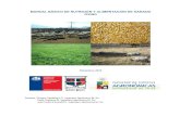 MANUAL BÁSICO DE NUTRICIÓN Y ALIMENTACIÓN DE GANADO OVINOficovino.agronomia.uchile.cl/wp-content/uploads/2016/07/Manual... · MANUAL BÁSICO DE NUTRICIÓN Y ALIMENTACIÓN DE GANADO