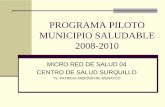 PROGRAMA PILOTO MUNICIPIO SALUDABLE 2008-2010 · Plan en instituciones educativas iniciales con adecuados estilos en nutrición del distrito de ... Educación (cultura de salud ,estilos