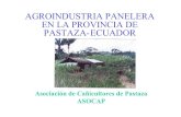 Agroindustria panelera en la Provincia de Pastaza, … DE LA AIR • La provincia de Pastaza en la actualidad tiene unas 10 fábricas mejoradas para la producción de panela, como