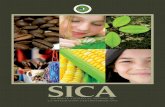 SICA - fundacionetea.org Secretaría General del SICA, ... partir de cinco subsistemas: El Subsistema Político, definido por el Proto- colo de Tegucigalpa de 1991 y el Tratado