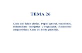 TEMA 26 - UAH · TEMA 26 Ciclo del ácido ... -Berg •Tymoczko•Stryer. Biochemistry. Sixth Edition. 2007. ... @Oxidative phosphorylation, Ch. 18 @Fatty acid oxidation, Ch. 22 ...