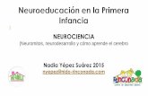 NEUROCIENCIA - infamile-educacion.com · (Neuromitos, neurodesarrollo y cómo aprende el cerebro Nadia Yépez Suárez 2015 nyepez@nido-rinconada.com NEUROMITO: “Deliberada distorsión
