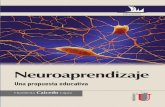 Neuroaprendizaje - download.e-bookshelf.de · 6.4.4. Otros neuromitos ... los aportes de las disciplinas que han orientado tradicionalmente los procesos educativos sino que además,