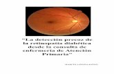 “La detección precoz de la retinopatía diabética ... · capilar y de la rotura de la barrera hematorretiniana, con salida de los componentes del plasma hacia la retina. Los microaneurismas