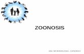 ZOONOSIS - Facultad de Medicina · de diseminación que comunmente residen y causan infecciones en ... •Toxoplasmosis, ... Hemocultivo o medulocultivo positivo