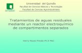Tratamientos de aguas residuales mediante un reactor ...€¦ · PUBLICACIONES: Membrane electrochemical reactor for continuous regeneration of spent chromium plating baths. Sánchez,
