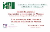 Panel de análisis: Encuestas y elecciones en Méxicoricartur.com/contenido/IAPH1507p.pdf · Encuestas y elecciones en México Pachuca de Soto, ... datos; el cuestionario ... los