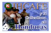 Presentación de PowerPoint - fosdeh.com · ISO 17025 • Certificador de ... • 1 millón plantas certificadas ... Ampliar presencia de Café de Honduras en ferias internacionales