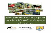 Manual de Técnicas para la Identificación de Aves …gamma.catie.ac.cr/pma/es/publicaciones/manual_de...necesidad en la naturaleza existe una solución, para cada hábitat una pata