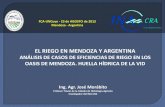 Presentación de PowerPoint - Inicio · el riego en mendoza y argentina anÁlisis de casos de eficiencias de riego en los oasis de mendoza. ... californiano): aplicaciÓn de caudales