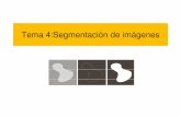 Tema 4:Segmentación de imágenesalojamientos.us.es/gtocoma/pid/tema4.pdf · La segmentación de imágenes divide la imagen en sus partes constituyentes hasta un nivel de subdivisión