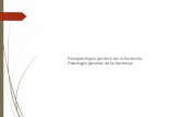 Presentación de PowerPoint · Galactosemia Glucogenosis Albinismo Fenilcetonuria Homocistinuria Déficit de ...