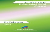 Situación de la Enfermedad Renal - minsalud.gov.co · CUENTA DE ALTO COSTO Fondo Colombiano de Enfermedades de Alto Costo Cuenta de Alto Costo Situación de la Enfermedad Renal Crónica