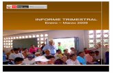 Informe I Trimestre 2009 - minem.gob.pe Social/Informes... · 2.1.1 Propuesta de Modificación al Decreto Supremo Nª 042-2003-EM ... aprobado en el año ... que permitan aliviar