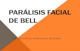 PARÁLISIS FACIAL DE BELL - Welcome to Rehabilita …rehabilitagdl.com/sites/default/files/PARALISIS FACIAL...MUSCULOS INERVADOS POR EL FACIAL FRONTAL: ELEVA LA CEJA. (Occipito-frontal)