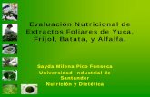 Evaluación Nutricional de Extractos Foliares de Yuca ...lac.harvestplus.org/wp-content/uploads/2015/02/evaluacion-nutric... · beta-caroteno Los extractos foliares de alfalfa y yuca
