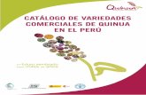 Catálogo de variedades comerciales de quinua en el Perú · gastrómico de la cocina peruana y el impulso de la industrialización de la quinua a nivel nacional generó el interés