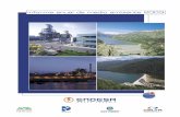 Informe de Medioambiente - enelgeneracion.cl€¦ · informe anual de medioambiente 2003 / Endesa Chile 11 Organización para la gestión ambiental de Endesa Chile y sus empresas