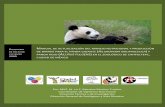 manual de cultivo de bambúeconomia.unam.mx/cechimex/chmxExtras/documentos/...1 MANUAL PARA LA PRODUCCIÓN DE BAMBÚ Y MANEJO NUTRICIONAL DEL PANDA GIGANTE (Ailuropoda melanoleuca)