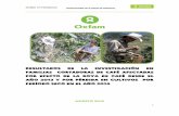 Resultados de la Investigación eN Familias … en Honduras Investigación Roya Sequía en Honduras 1 Resultados de la Investigación eN Familias CortADORAS DE Café afectadas