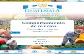 Comportamiento de precios - web.maga.gob.gtweb.maga.gob.gt/diplan/download/precios(2... · demanda externa relevante, principalmente de El Salvador y Honduras. Cebolla seca, blanca,