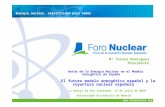 Energía nuclear, electricidad para todos · Actúa como foro de coordinación de actividades de ... Madurez de la industria nuclear española Contratos por componentes y gestión