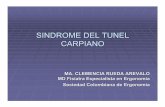 SINDROME DEL TUNEL CARPIANO - minsalud.gov.co y Publicaciones... · ANATOMIA DEL TUNEL CARPIANO 9 Tendones flexores y el Nervio Mediano MCRueda. FISIOLOGIA DEL TUNEL 94% F Sensitivas